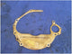 2011-2014 Ford Mustang GT 5.0L Flex Plate Block Plate Manual Trans M/T 2908 - The Parts Farm