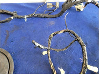 2012 Ford Mustang Boss 302 Coupe Body Wiring Wire Harness Plug *Read* 2830 - The Parts Farm