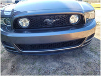 2013 - 2014 Ford Mustang GT S197 Driver Left Front Door Coupe Paint UJ 2855 - The Parts Farm