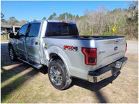 2015-2017 Ford F150 F-150 Truck Driver Rear Taillight BLIS Light Lamp 2854 - The Parts Farm