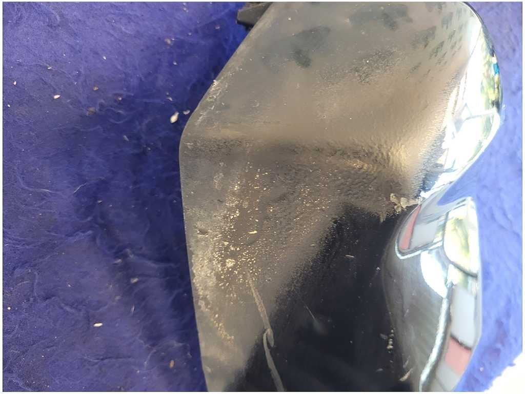 2015 - 2017 Ford F150 Pickup Truck Driver Corner Cab Molding Paint G1 2765 - The Parts Farm