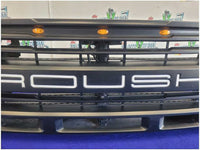 2015 - 2017 Ford F150 Roush Pickup Truck Front Grill Light Trim Paint White 2733 - The Parts Farm