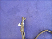 2015 - 2017 Ford Mustang GT S550 Driver Front Fog Light Harness Plug Wire 2739 - The Parts Farm