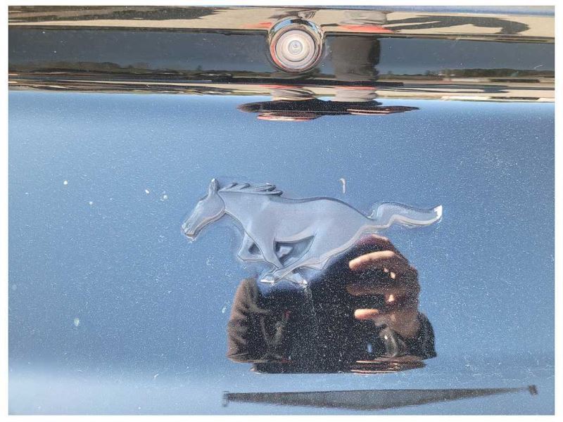 2015 - 2017 Ford Mustang GT S550 Trunk Deck Lid Spoiler Wing Coupe Paint H3 2328 - The Parts Farm