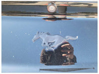 2015 - 2017 Ford Mustang GT S550 Trunk Deck Lid Spoiler Wing Coupe Paint H3 2328 - The Parts Farm