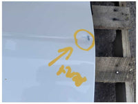 2015 - 2020 Ford F150 4x4 Pickup Truck Driver Rear Door Extended Cab Paint UG 2460 - The Parts Farm