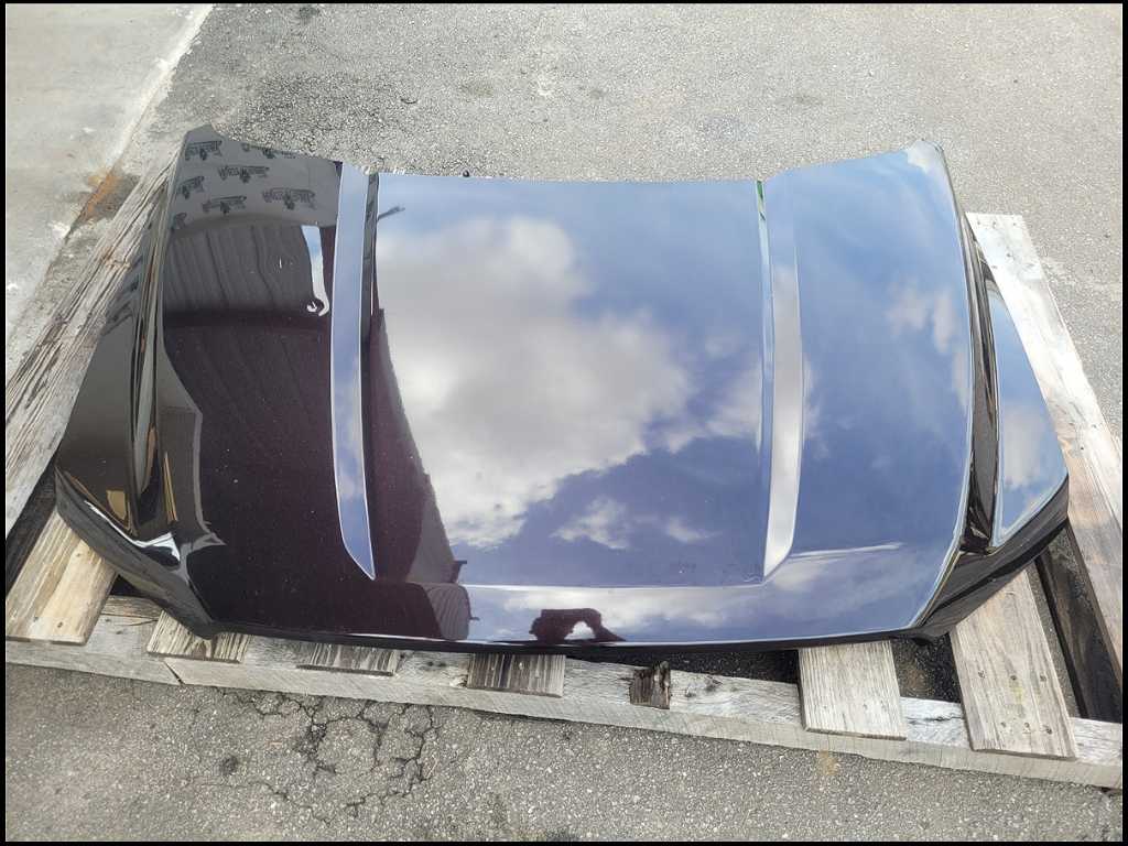 2015 - 2020 Ford F150 Pickup Truck Front Hood Shell *Dent* Paint E2 2693 - The Parts Farm