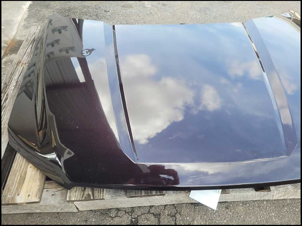 2015 - 2020 Ford F150 Pickup Truck Front Hood Shell *Dent* Paint E2 2693 - The Parts Farm