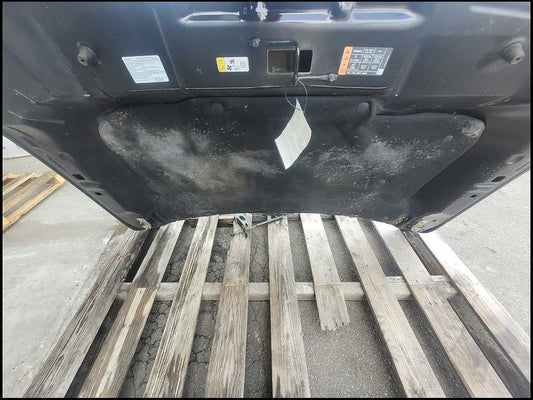 2015-2020 Ford F150 Pickup Truck Front Hood Shell *Dent* Paint E2 2693