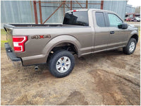 2015-2020 Ford F150 Truck Passenger Rear Extended Cab Molding Paint D1 2831 - The Parts Farm