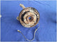 2015 - 2020 Ford Mustang Shelby GT350 Driver Left Rear Knuckle Spindle Hub 2881 - The Parts Farm