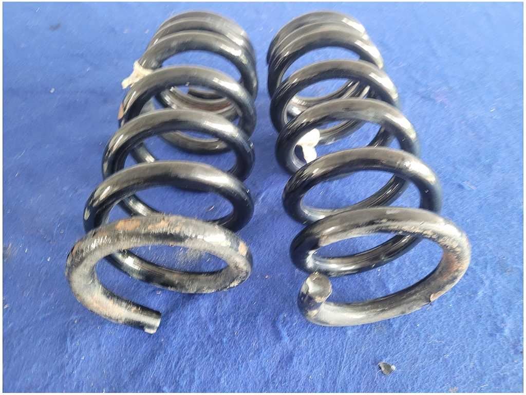 2015 - 2020 Ford Mustang Shelby GT350 Pair Rear Coil Springs Coupe 2881 - The Parts Farm