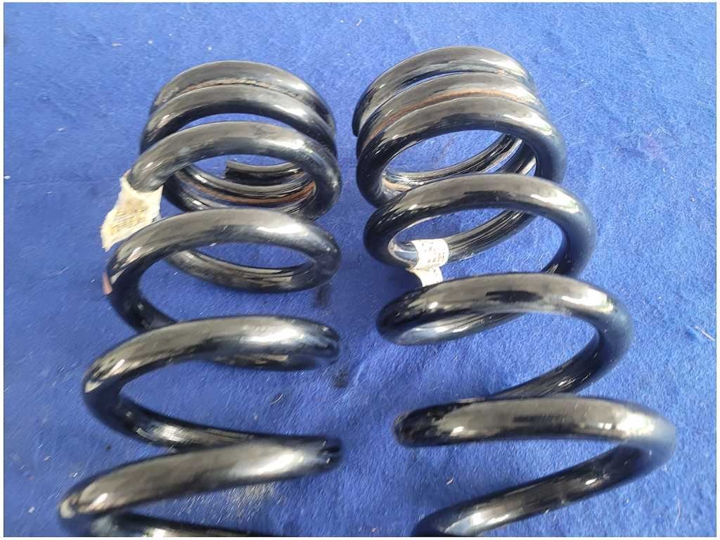 2015 - 2020 Ford Mustang Shelby GT350 Pair Rear Coil Springs Coupe 2881 - The Parts Farm