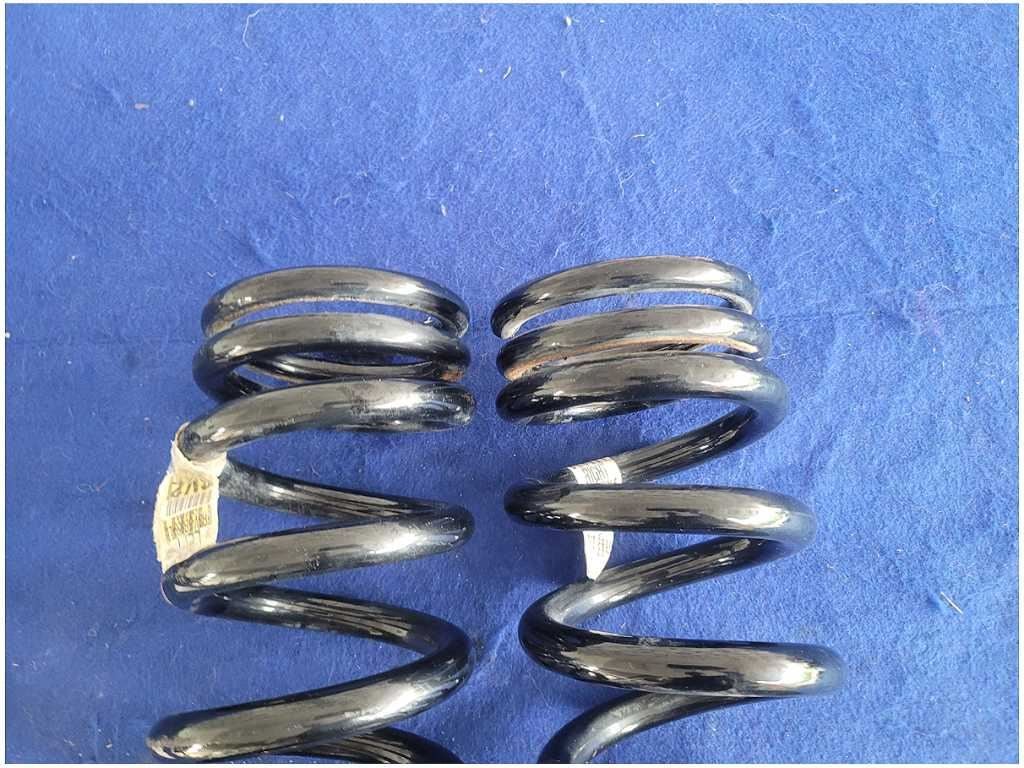 2015 - 2020 Ford Mustang Shelby GT350 Pair Rear Coil Springs Coupe 2881 - The Parts Farm