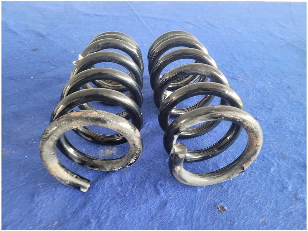 2015 - 2020 Ford Mustang Shelby GT350 Pair Rear Coil Springs Coupe 2881 - The Parts Farm