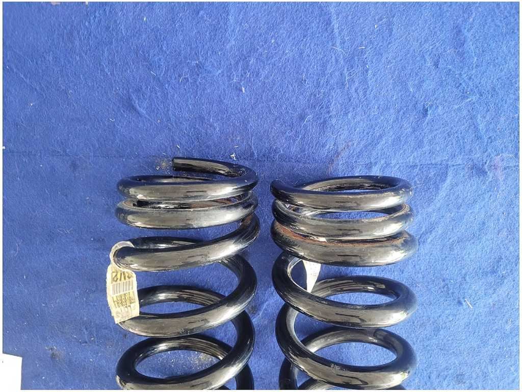 2015 - 2020 Ford Mustang Shelby GT350 Pair Rear Coil Springs Coupe 2881 - The Parts Farm