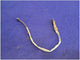 2015 - 2020 Mustang Shelby GT350 Passenger Front Upstream o2 Sensor Exhaust FH - The Parts Farm