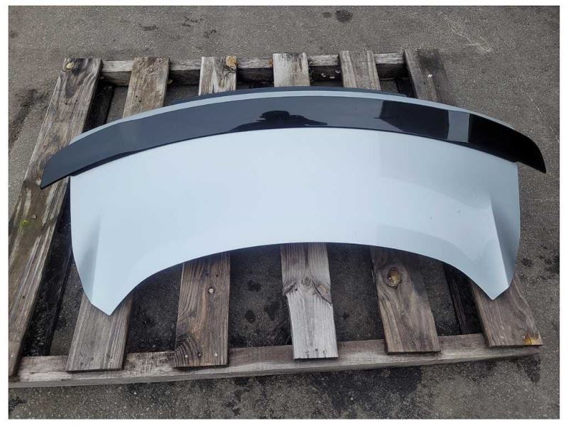 2015 - 2021 Ford Mustang GT S550 Truck Deck Lid Spoiler Panel Paint UX 2485 - The Parts Farm