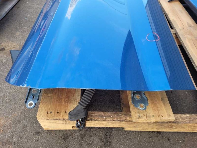 2015 - 2023 Ford Mustang GT S550 Driver Left Front Door Coupe Shell Paint FM - The Parts Farm