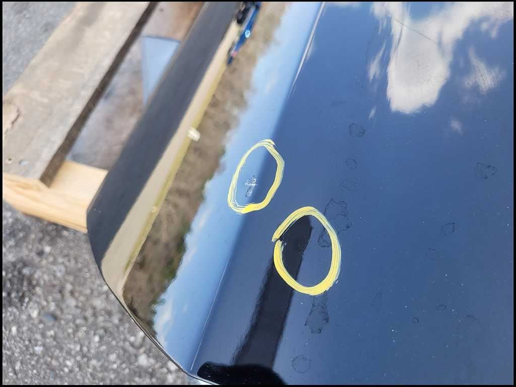 2015 - 2023 Ford Mustang GT S550 Driver LH Front Door Coupe Shell Paint G1 2667 - The Parts Farm