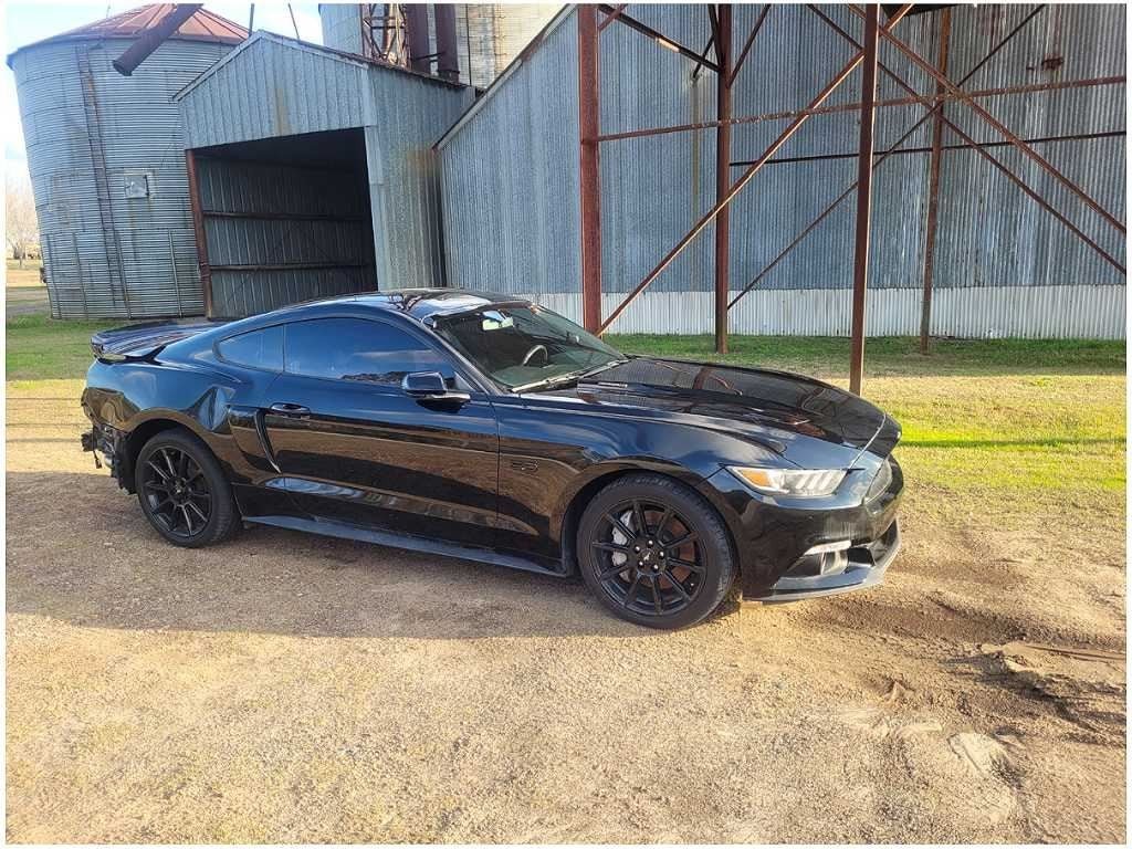 2015 - 2023 Ford Mustang GT S550 Passenger Coupe Front Door Shell Paint G1 2815 - The Parts Farm