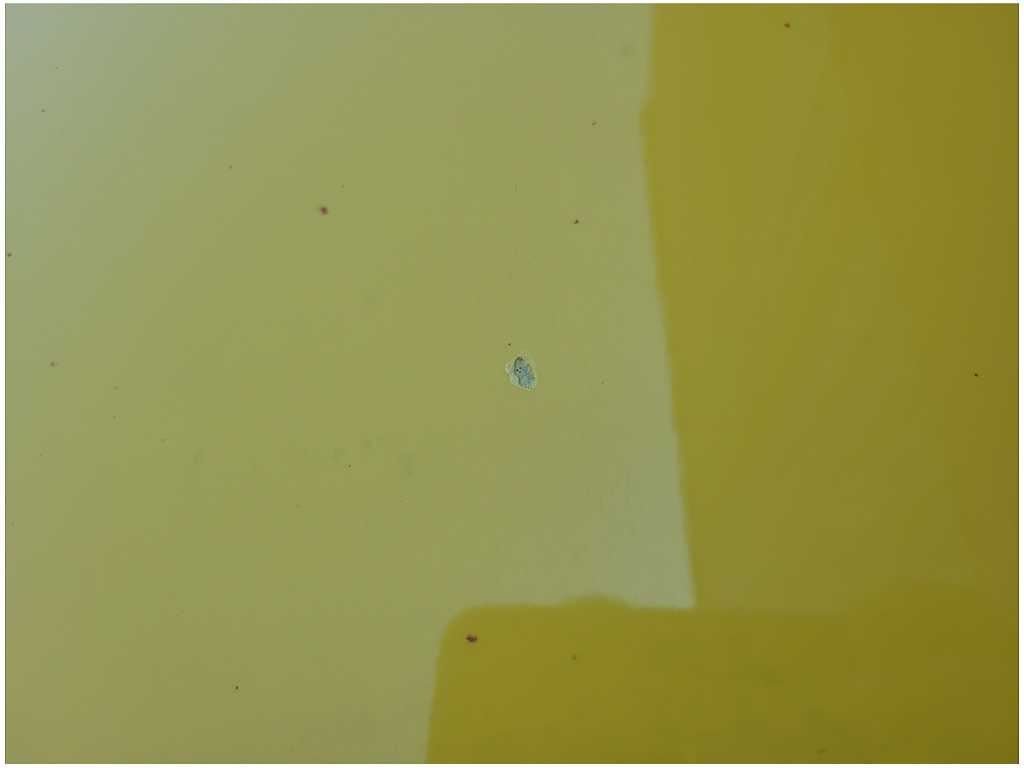 2015 - 2023 Ford Mustang GT S550 Passenger Front Coupe Door Shell Paint H3 2718 - The Parts Farm