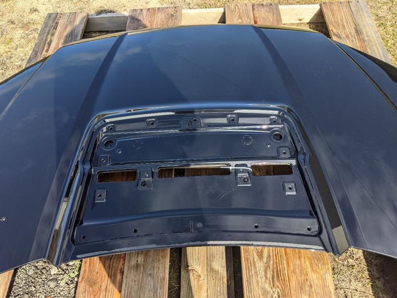 2017 - 2020 Ford Raptor F150 F - 150 Truck Painted Hood Damaged Corner - The Parts Farm