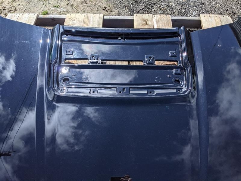 2017 - 2020 Ford Raptor F150 F - 150 Truck Painted Hood Damaged Corner - The Parts Farm