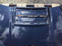 2017 - 2020 Ford Raptor F150 F - 150 Truck Painted Hood Damaged Corner - The Parts Farm