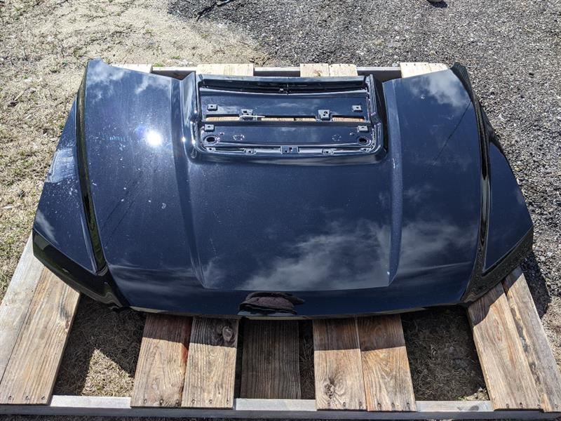 2017 - 2020 Ford Raptor F150 F - 150 Truck Painted Hood Damaged Corner - The Parts Farm