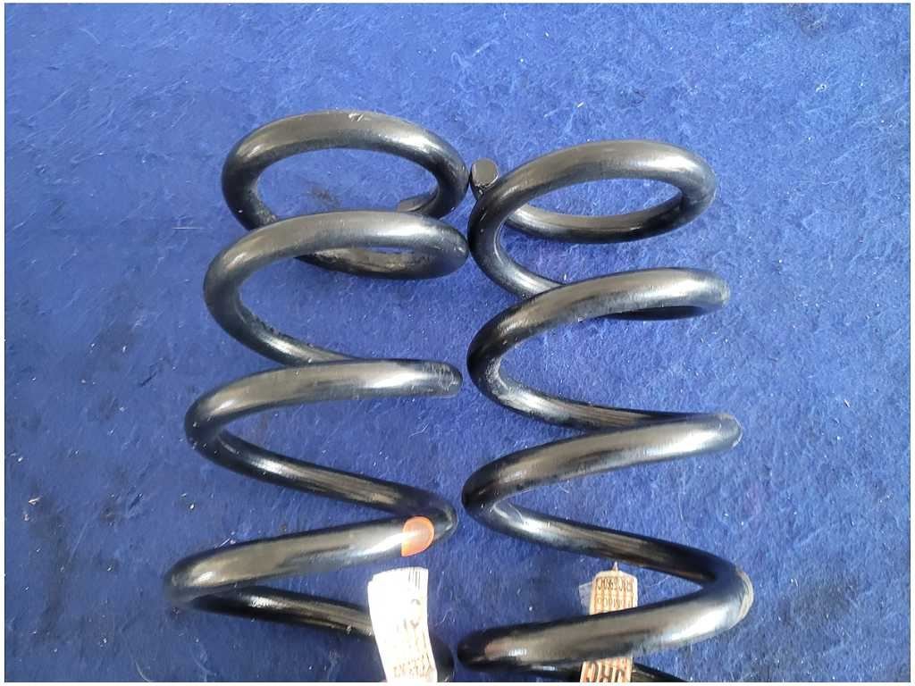 2018-2023 Ford Mustang GT Performance Pack Rear Convertible Coil Springs 2888 - The Parts Farm
