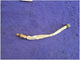 2020 - 2023 Ford Mustang Shelby GT500 Driver Front Upstream o2 Sensor Exhaust FH - The Parts Farm