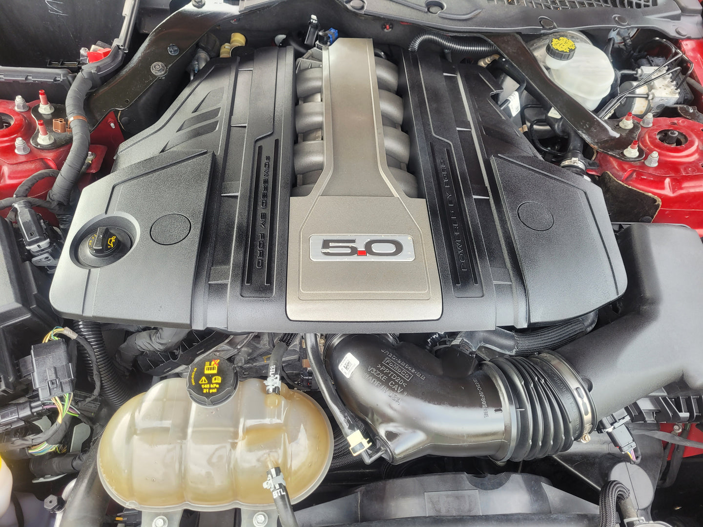 Stock 2630. 2018 Ford Mustang GT Coupe 5.0L V8 Gen 3 10R80 10 Speed Trans 17k Miles - The Parts Farm