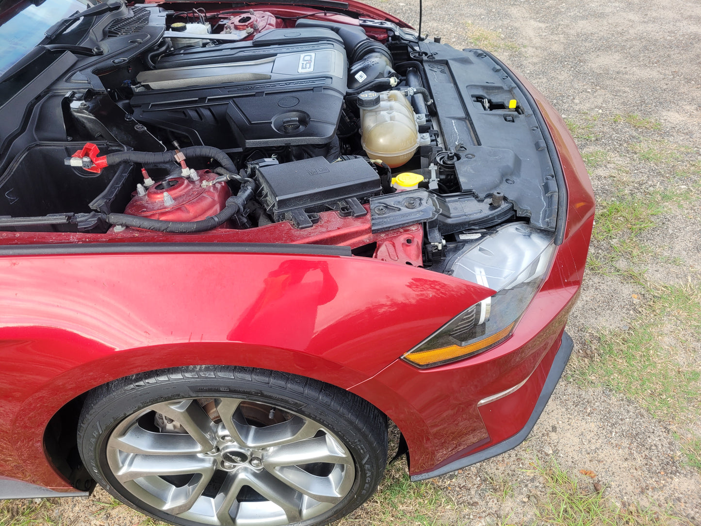 Stock 2630. 2018 Ford Mustang GT Coupe 5.0L V8 Gen 3 10R80 10 Speed Trans 17k Miles - The Parts Farm