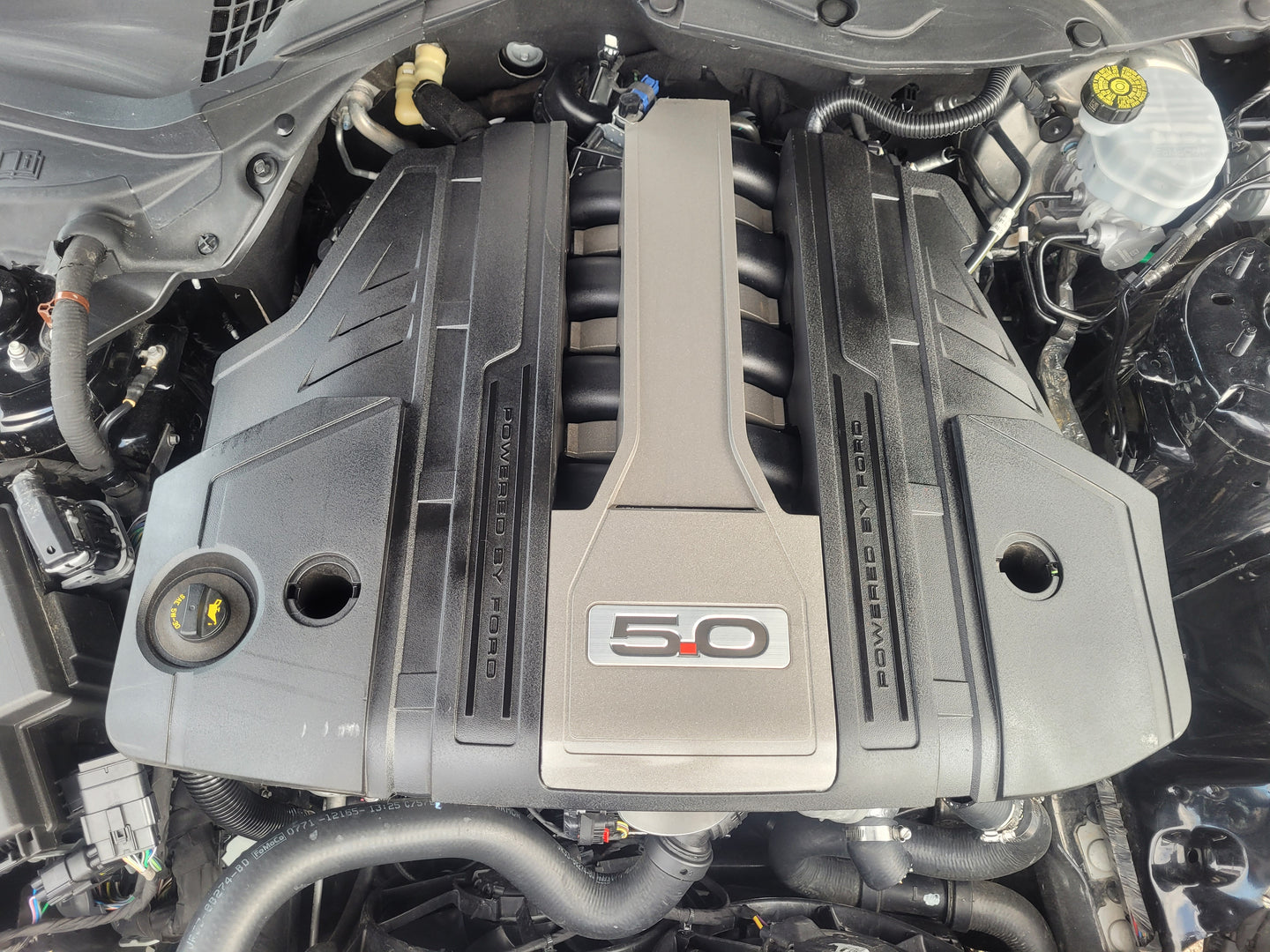 Stock 2644. 2021 Ford Mustang GT Coupe 5.0L V8 Engine MT82 Manny Tranny 21k Miles - The Parts Farm