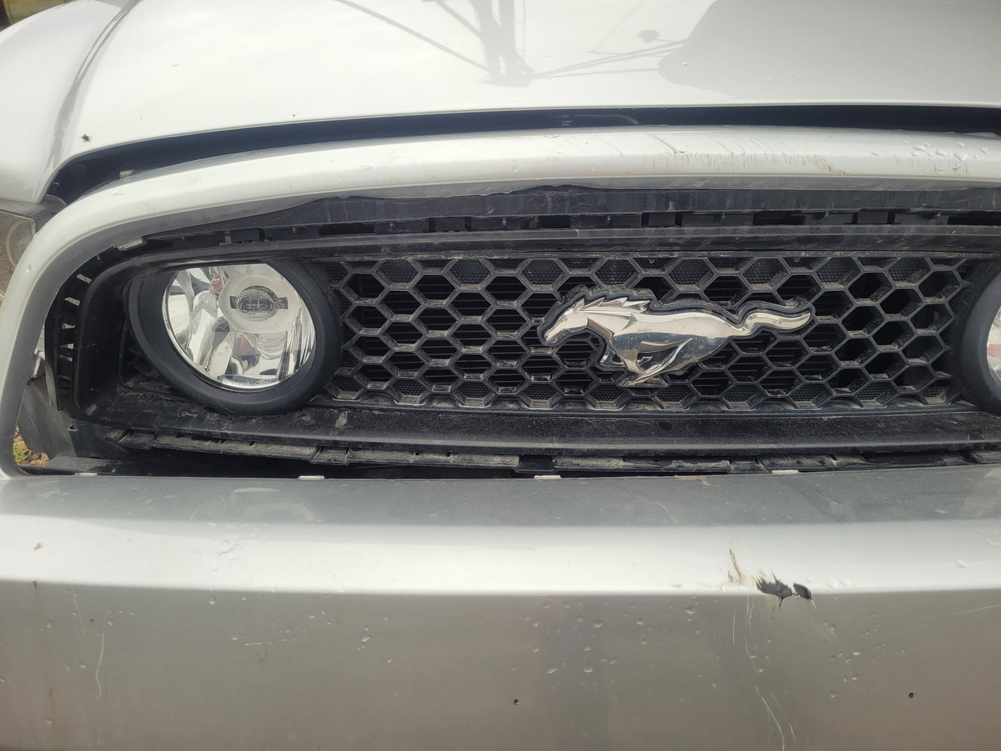 Stock 2635. 2013 Ford Mustang GT Coupe 5.0L Coyote 6R80 A/T 46k Miles - The Parts Farm