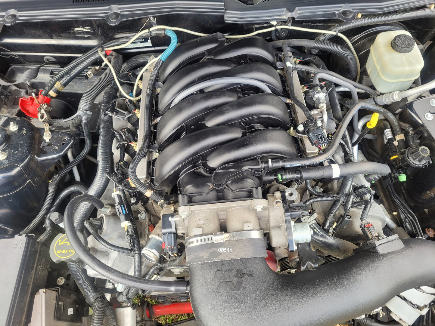 Stock 2649. 2005 Ford Mustang GT Saleen Coupe 4.6L V8 3650 Manny Tranny - The Parts Farm