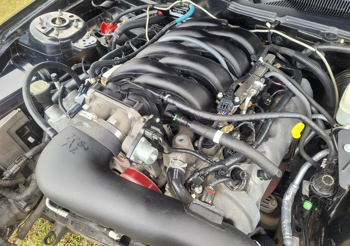 Stock 2649. 2005 Ford Mustang GT Saleen Coupe 4.6L V8 3650 Manny Tranny - The Parts Farm