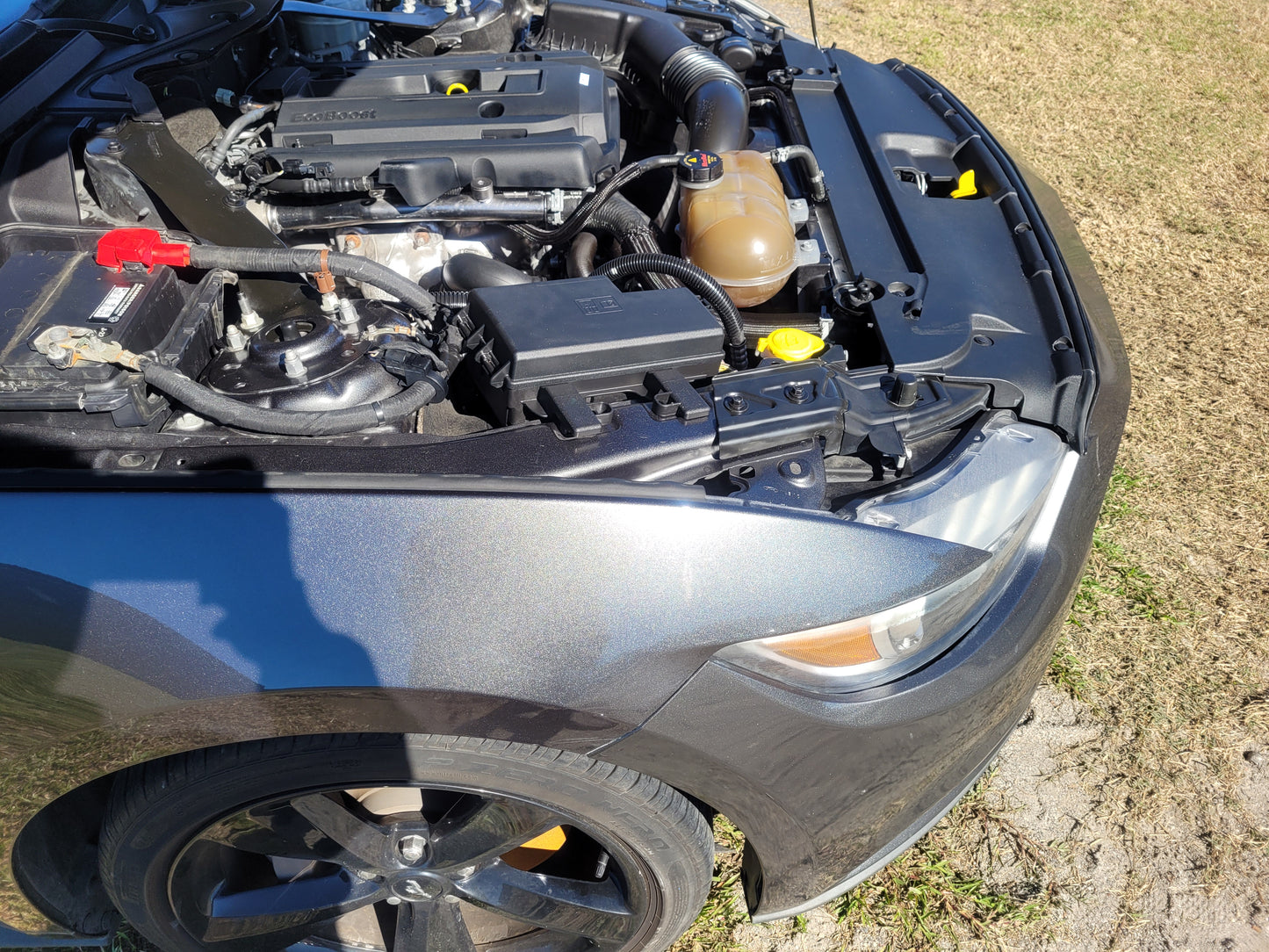 Stock 2652. 2017 Ford Mustang EcoBoost Coupe Clear Title 2.3L Turbo MT82 Manny Tranny 57k Miles - The Parts Farm