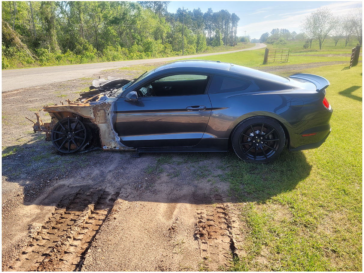 New Arrival Cars and Trucks