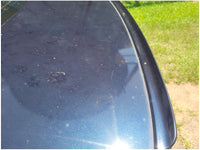 Stock 2445. 2004 BMW M3 E46 Salvage Title Coupe Future Race Car??