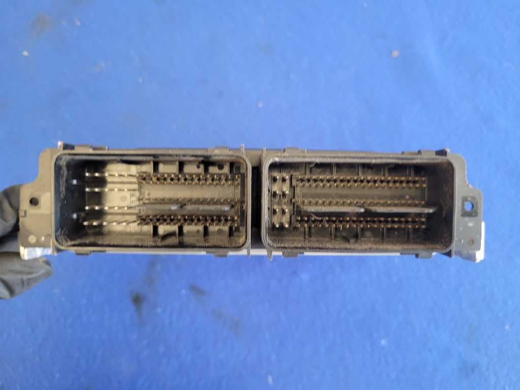 45205041