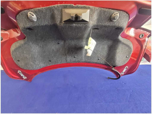 2018-2023 Ford Mustang GT S550 Trunk Coupe Deck Lid Wing Spoiler Paint D4 2712