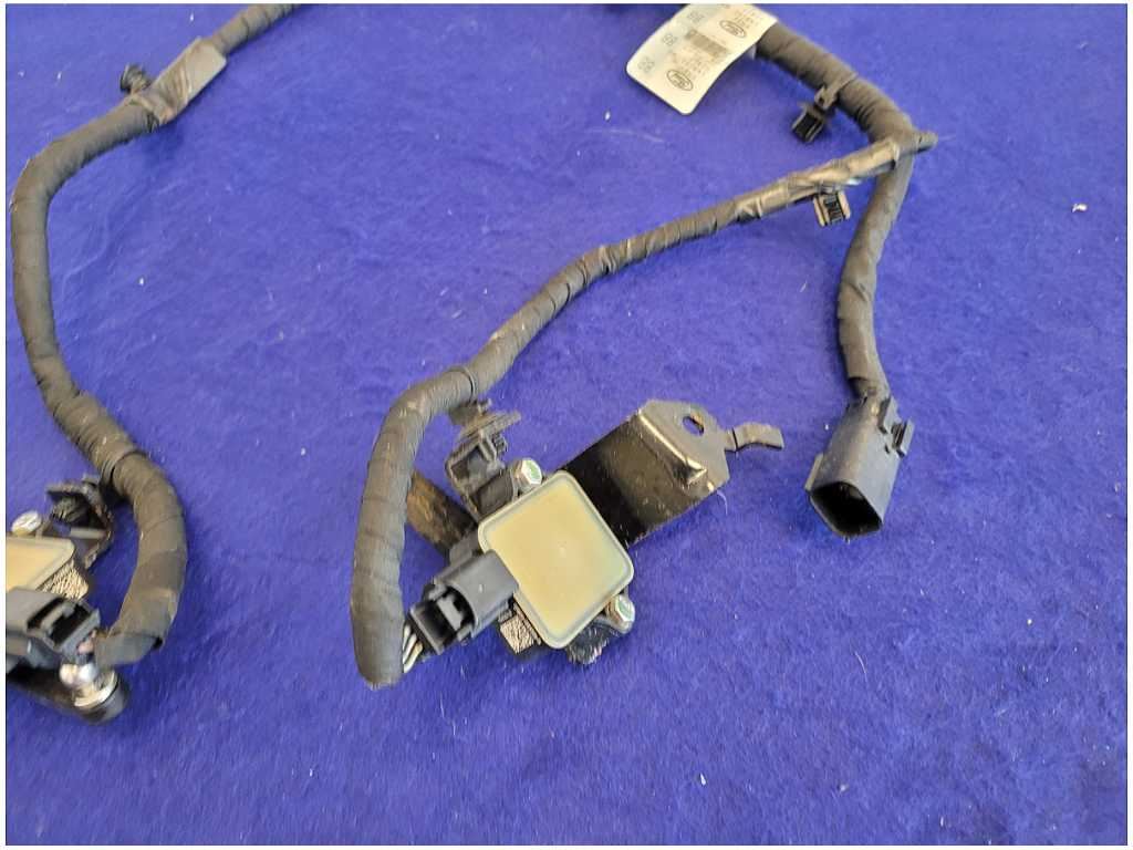 45300386