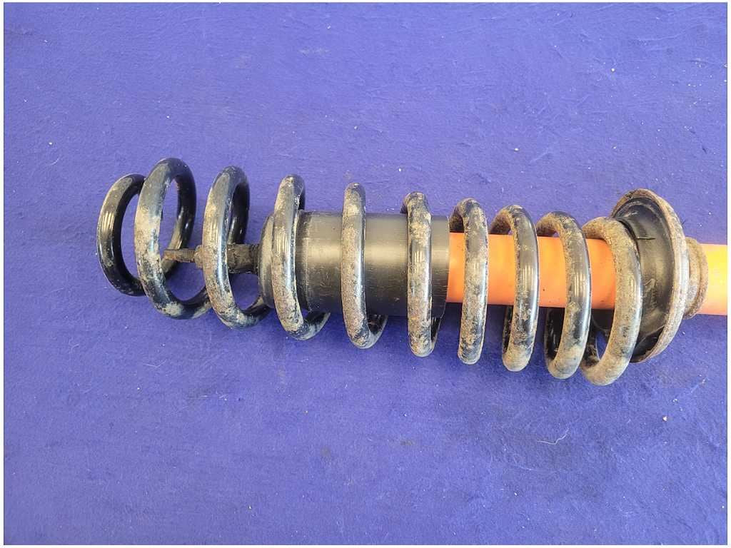 44497434