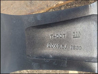 44410060