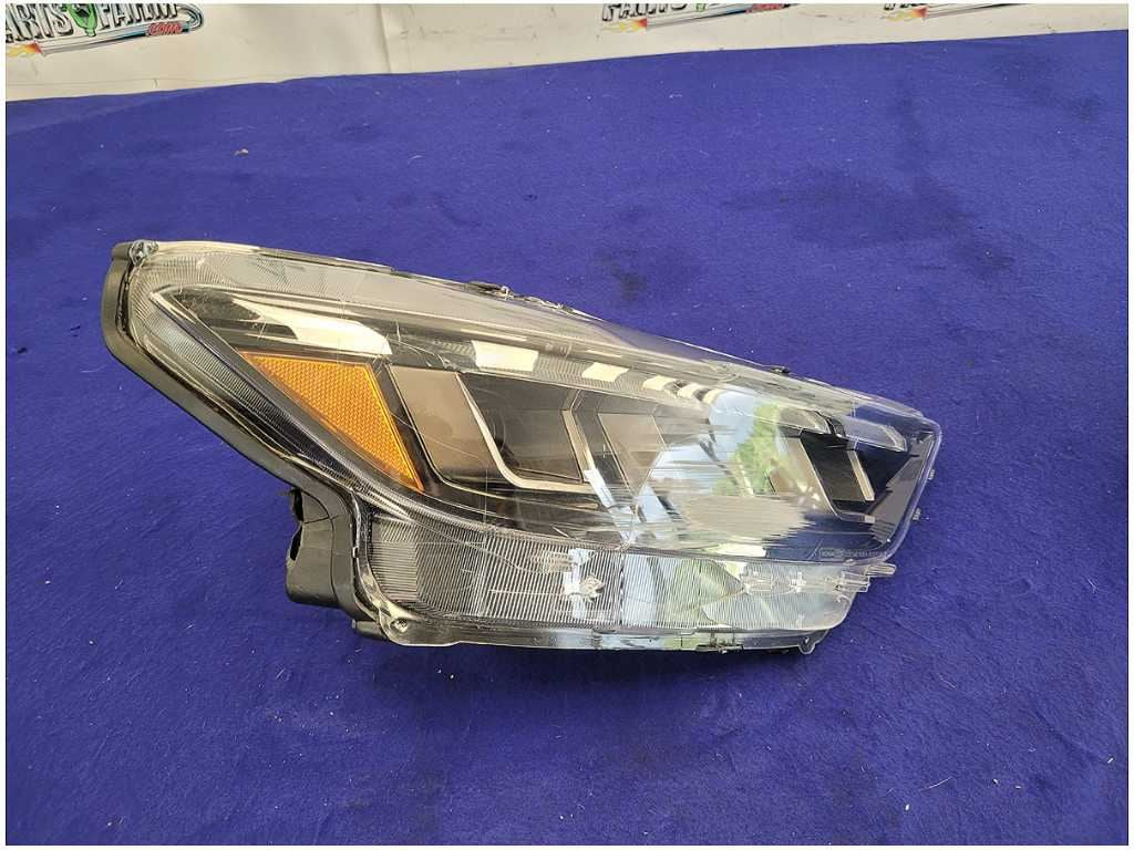 45300876