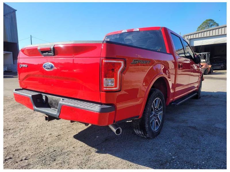 2015-2017 Ford F150 Pickup Truck Rear Back Shock Suspension 2481 - The Parts Farm