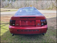 44077393