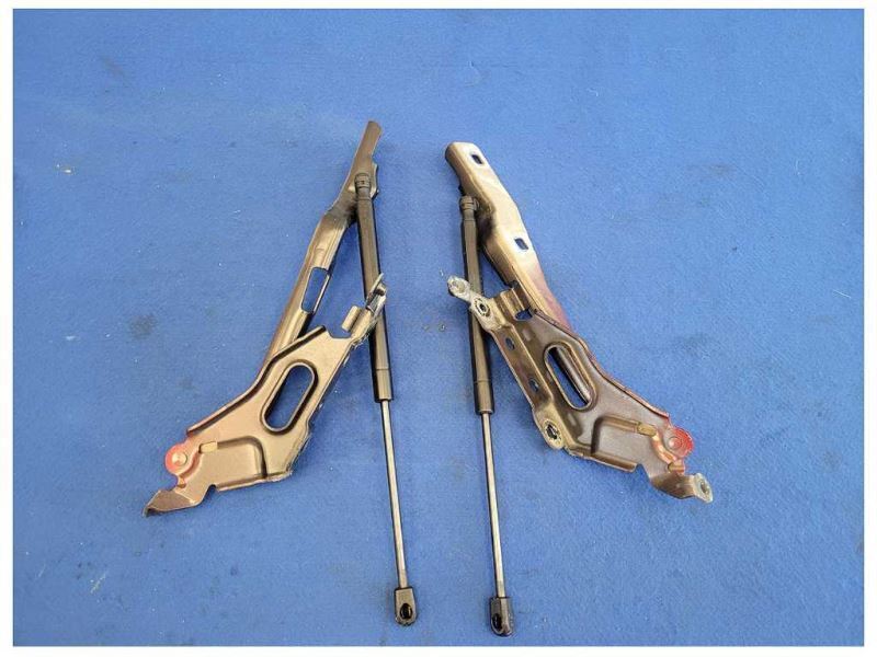 2018-2020 Ford F150 F-150 Roush Truck Front Hood Hinge Pair Paint RR 2612 - The Parts Farm